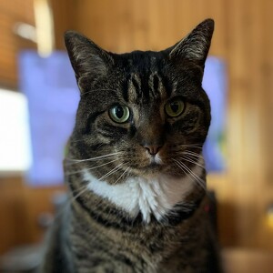 Fundraising Page: Teri Ryan